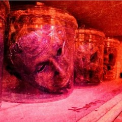 The Kill Room