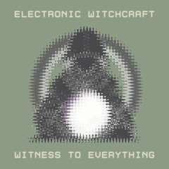 Electronic Witchcraft - Witness To Everything (DJ Kitchen Remix)