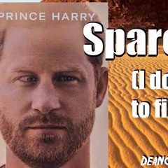Prince Harry Spare Song - I dont want to fight