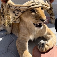 QUE SE LO SOBE TOEL 4PTAS MUNDO!!