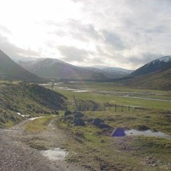 The Mountain of Flies