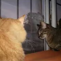 Vacio (prod. 22nate)