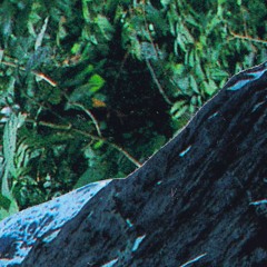Oak/oakTree (Edit)