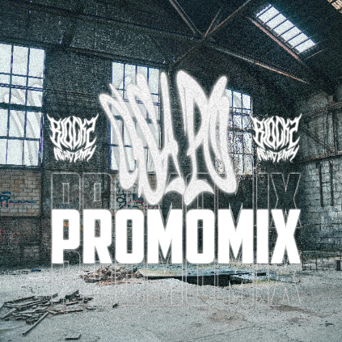 PROMOMIX 2025