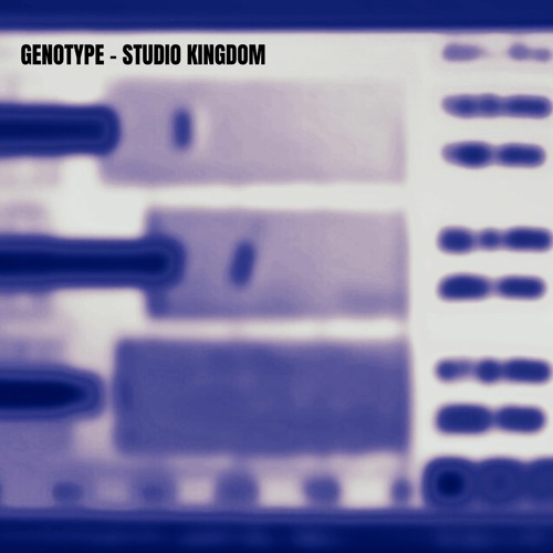 Genotype - Studio Kingdom EP - Deeper Sessions (DS)