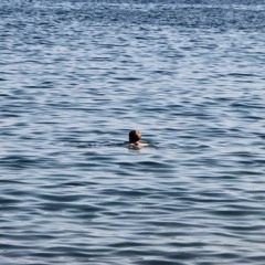 04_MASTER_MELANCHOLIE_SILAS_SOULMADE