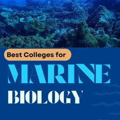 Best Colleges for Marine Biology