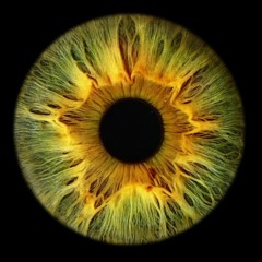 look into your head