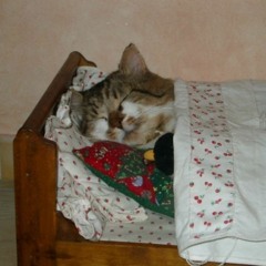 lying through my teeth (prod. splashgvng + king theta)