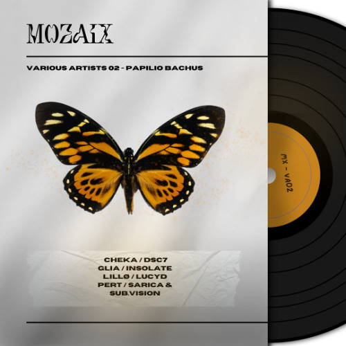 Premiere: Sarica & Sub.Vision - Point of no return [MOSAIX]