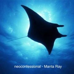 Manta ray