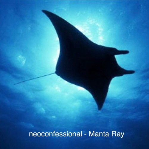 Manta ray