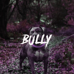 Bully - JTD