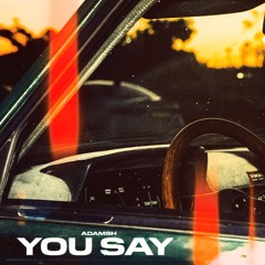AdamSH -  You Say (Original mix)