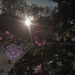 Collection II: Resurrection