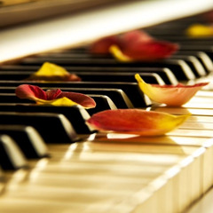Áchim György - beautiful piano moment!