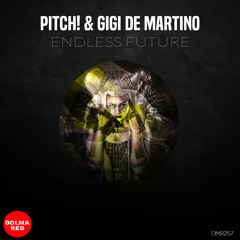 Pitch! & Gigi de Martino - Endless Future (Original Mix)