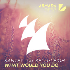 SANTEY feat. Kelli-Leigh - What Would You Do (Extended Mix)