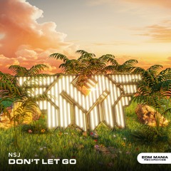 NSJ - Don't Let Go (Extended Mix) (Buy=Free Download)