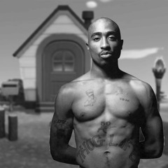 Animal Crossing: Let's Go to the Hood (KK.Slider x 2Pac Mashup)