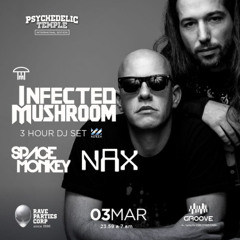 2025-03-03 Psychedelic Temple Opening Infected Mushroom Groove