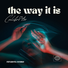 The Way It Is
