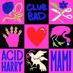 ACID HARRY - Mami (Out 28th November)