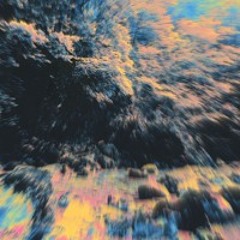 Amaryllis - Sabatinesque Morning (80 bpm)