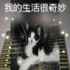 lil soda boi - Angry Love / 愤怒爱 (fèn nù ài)