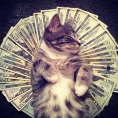 Rich Kitty