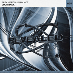 Look Back (Extended Mix)