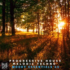 Moody Essentials 68 ~ #ProgressiveHouse #MelodicTechno Mix