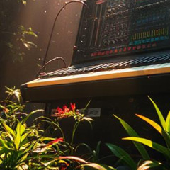 pluton.wav - ERGO records
