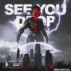 Ray Volpe - See You Drop (BRDN BOOTLEG)