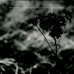 My Diamond in the Rough