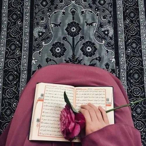 سورة المؤمنون | عبد الرحمن مسعد | تلاوة خاشعة هادئة تأسر القلب 🖤🎧