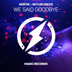 We Said Goodbye (with Skyler Cocco)