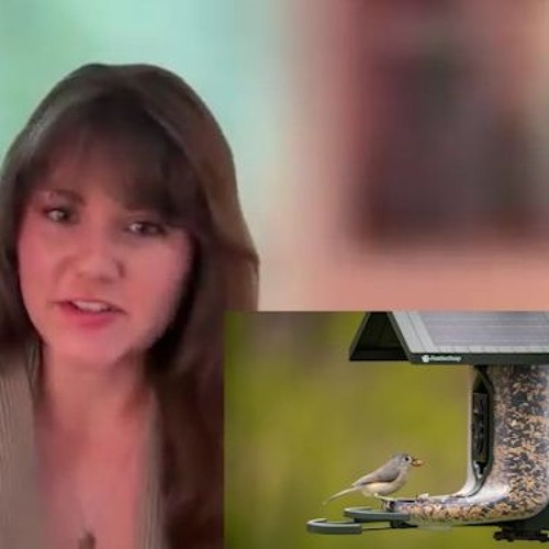 FeatherSnap Scout brings new features to smart bird feeder