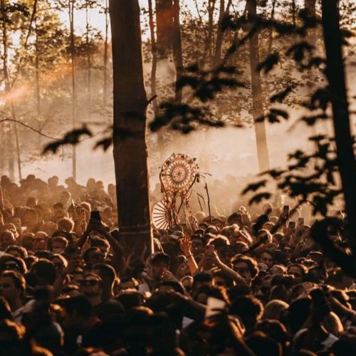 Voodoo Vibes