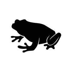 Ferrofrog