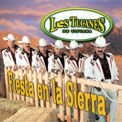 Fiesta En La Sierra - Con Banda Sinaloense