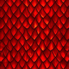 rko (ft. infiniterage2, shizukesa)