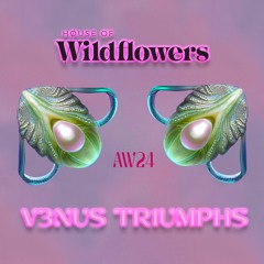 V3NUS TR1UMPHS - A/W 24 - Bloom Portugal Fashion