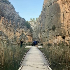 S.T 5 PROFESIONAL.mp3