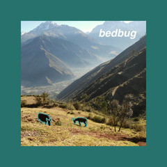 bedbug - love and everything after