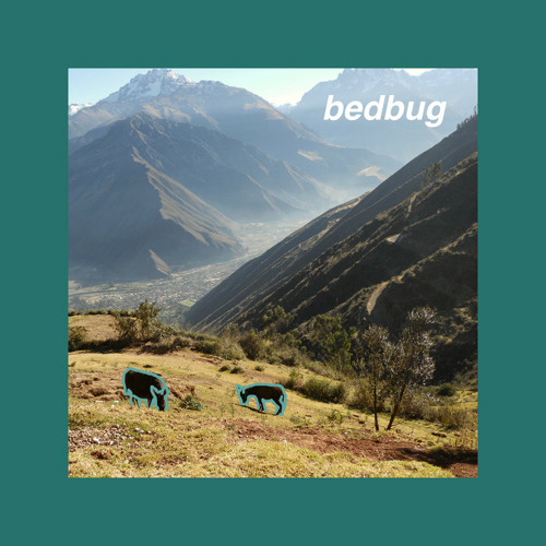 bedbug - life like bigger screens