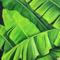 D'DIAS - Chora Bananeira (Guia)