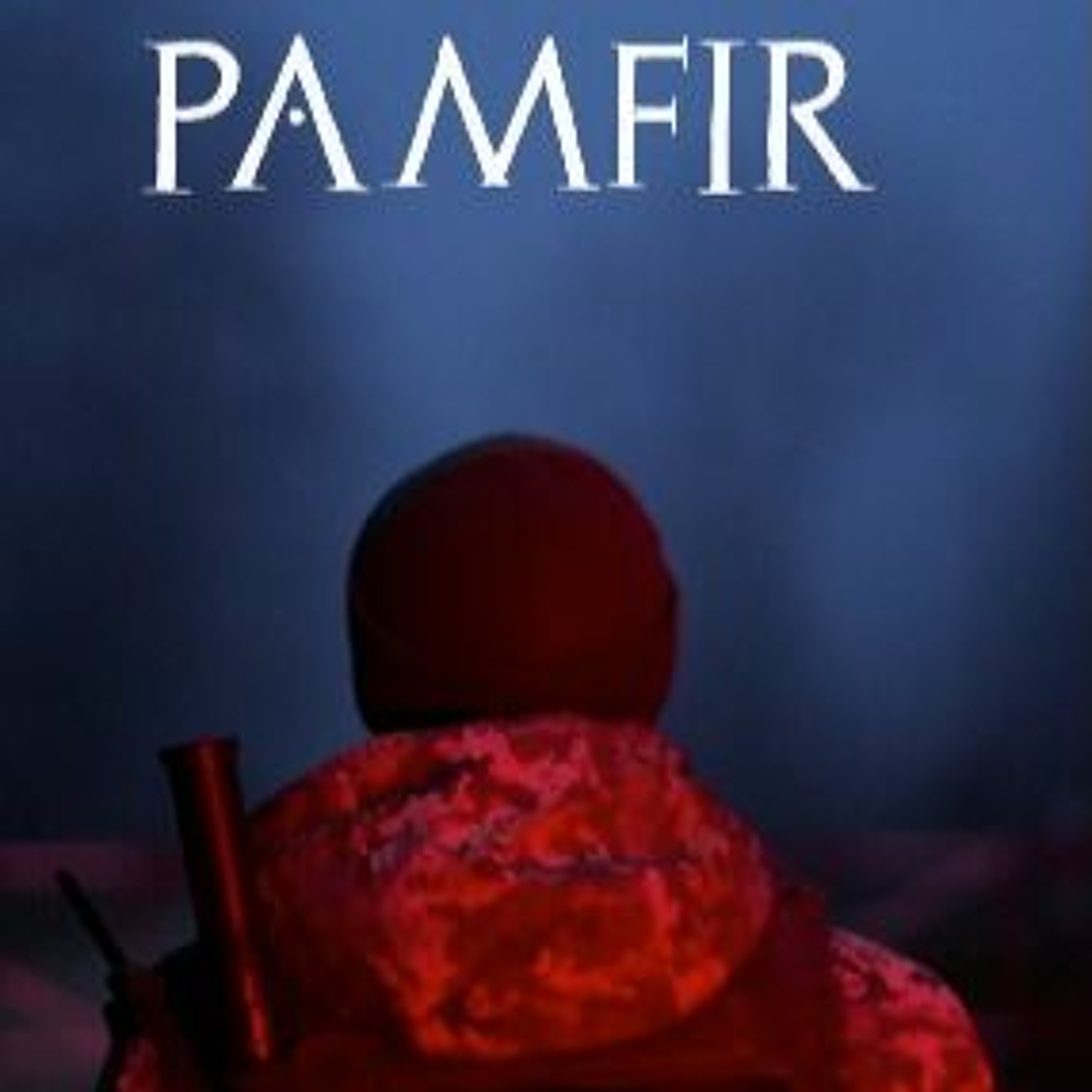 Interview B.O #59 : Laetitia Pansanel-Garric (PAMFIR, film ukrainien - Quinzaine des Réalisateurs)