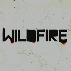 SBTRKT - Wildfire (Max Styler Remix)