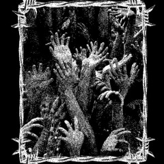 zafelminimix1
